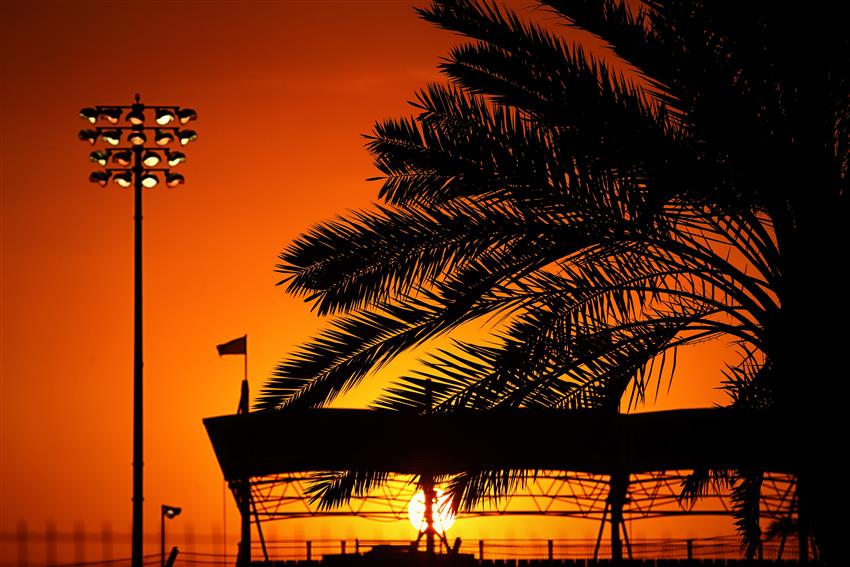 Blood red sun set palm tree