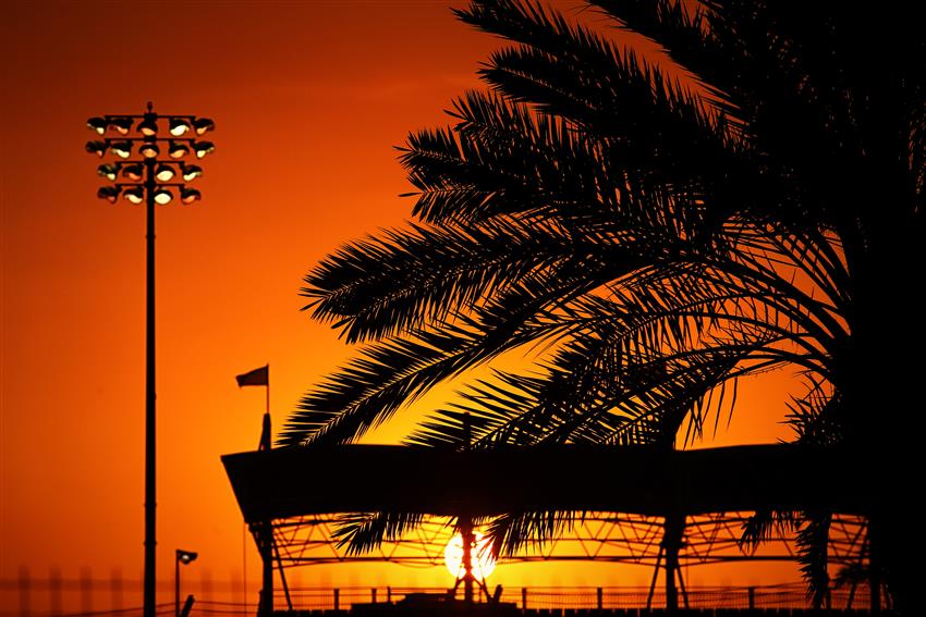 Orange sunset with palm tree