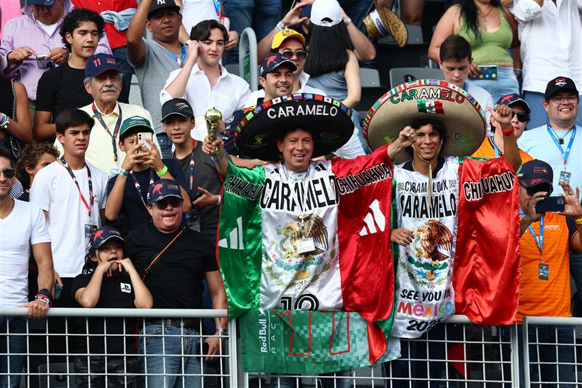 Fans wearing flags