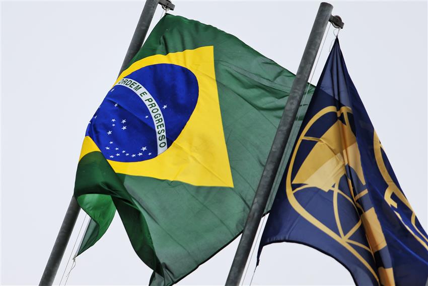 Brazilian And FIA Flags