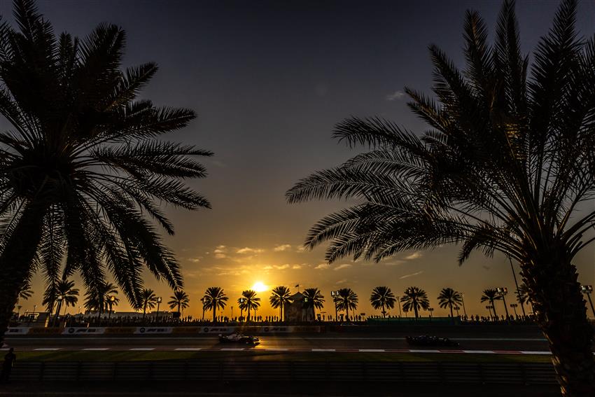 Palm trees sunset