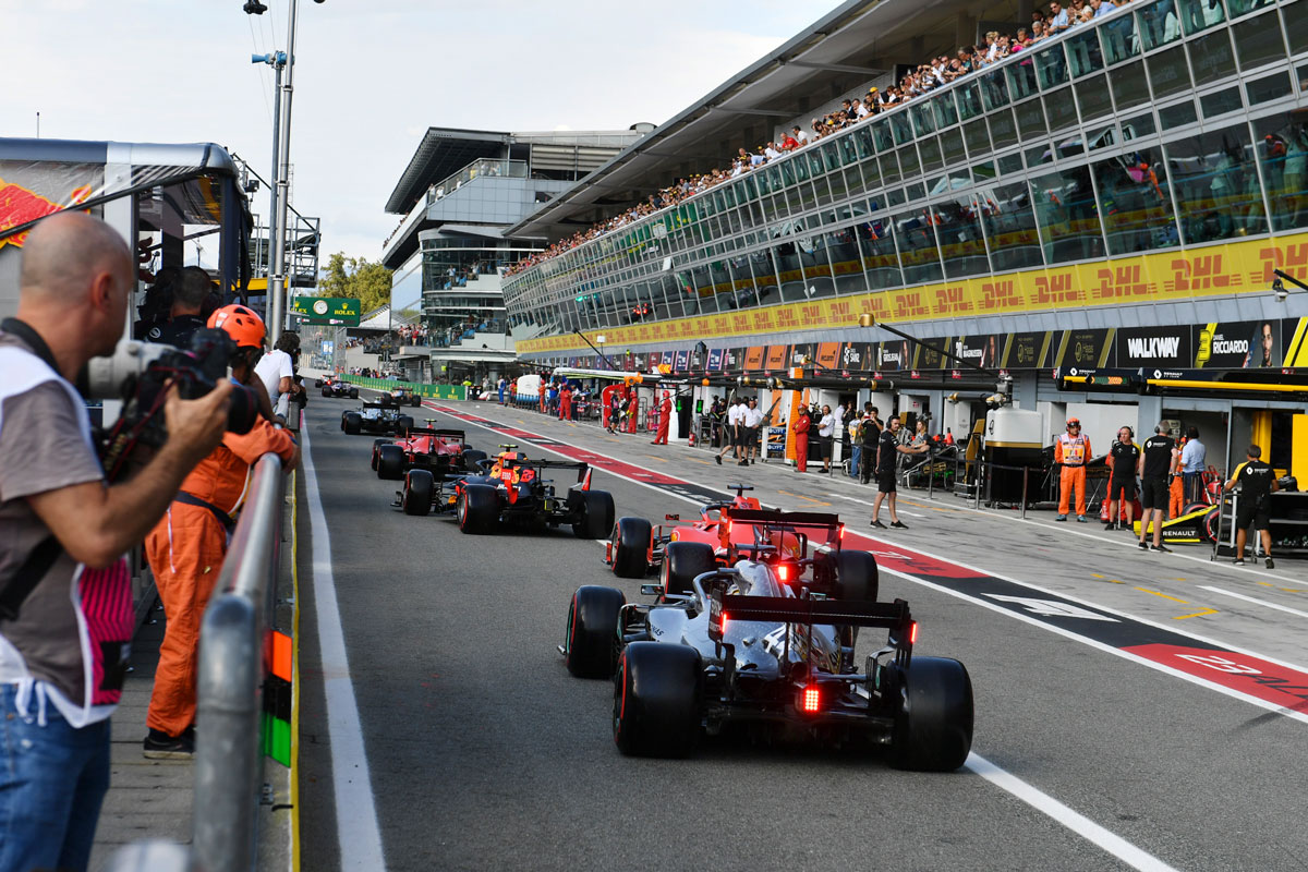 Paddock walk