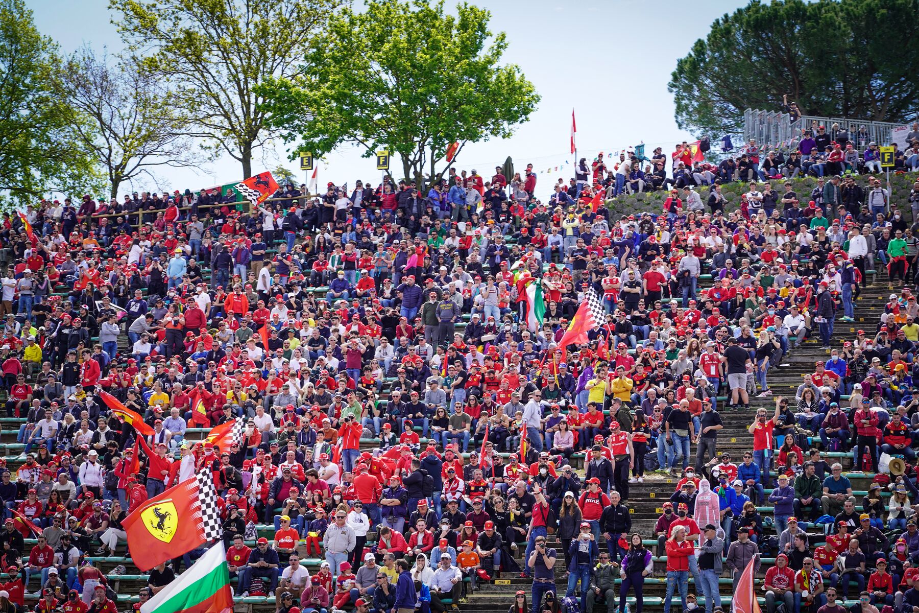 Race fans